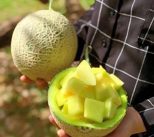 娱乐圈可以吃的大瓜,揭秘明星背后的惊人真相  第2张